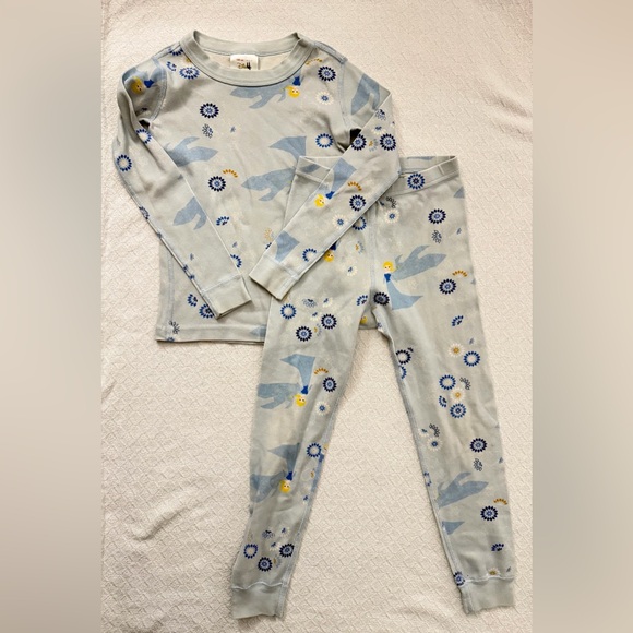 Disney Other - Hanna Andersson Frozen Elsa 100% Organic Cotton Pajama Set